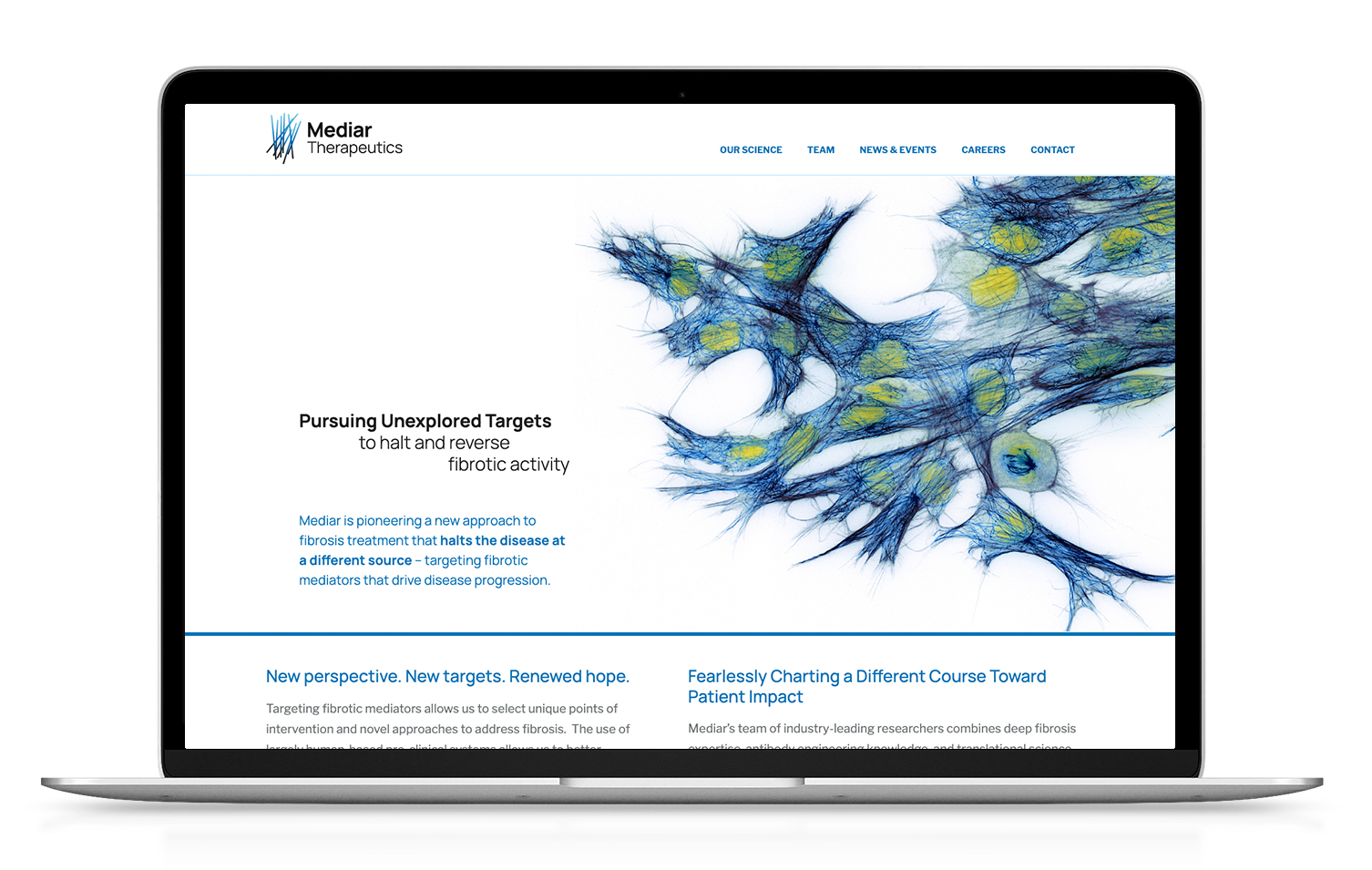 Mediar Therapeutics